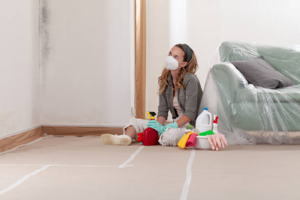 Reliable Mold Remediation contractor in Arlington, TX by Car Mold Remediation